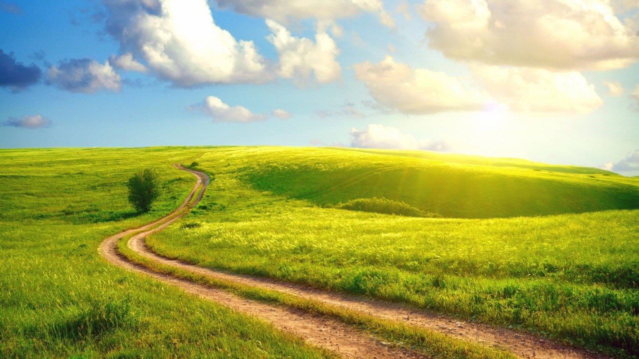 Sunny day desktop wallpaper